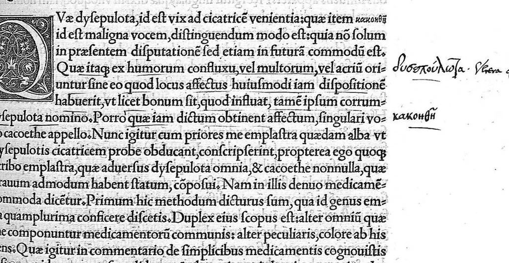 An illustration from C. Galeni De compositione medicamentorum kata gene, libri septem, Ioanne Guinterio interprete, 1530, leaf 52