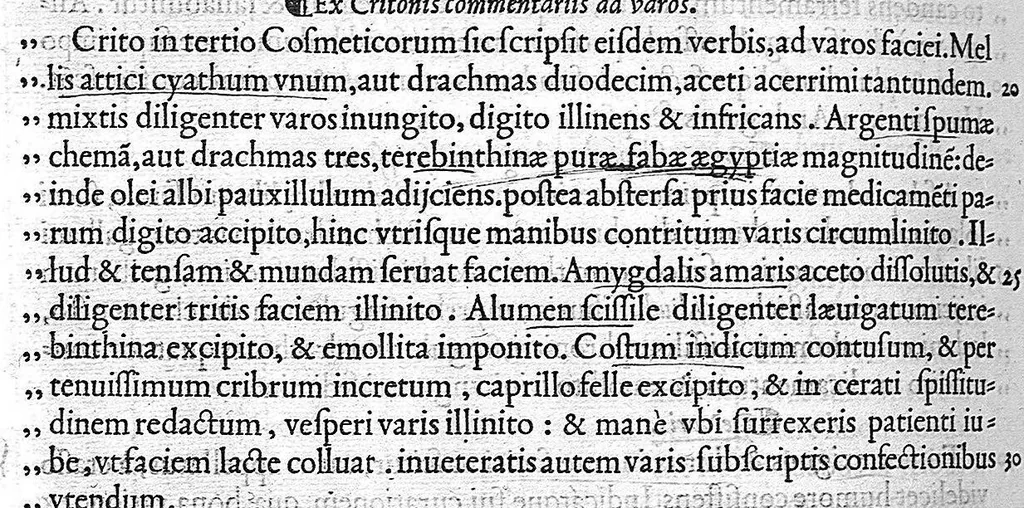 An illustration from Claudii Galeni Pergameni De compositione medicamentorum secundum locos, : seu quae unicuique corporis parti conueniunt, libri decem, 1535, leaf 157