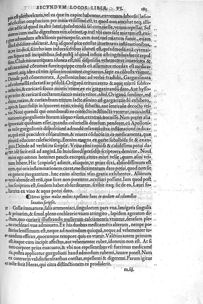An illustration from Claudii Galeni Pergameni De compositione medicamentorum secundum locos, : seu quae unicuique corporis parti conueniunt, libri decem, 1535, leaf 204
