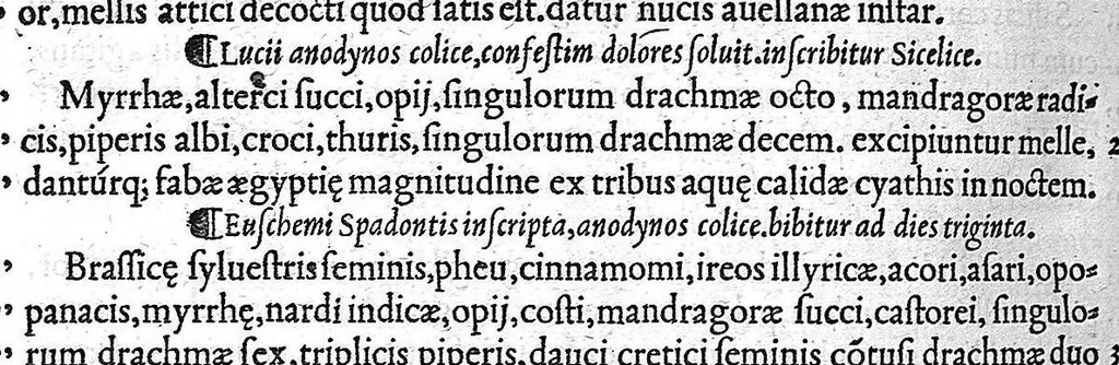 An illustration from Claudii Galeni Pergameni De compositione medicamentorum secundum locos, : seu quae unicuique corporis parti conueniunt, libri decem, 1535, leaf 301