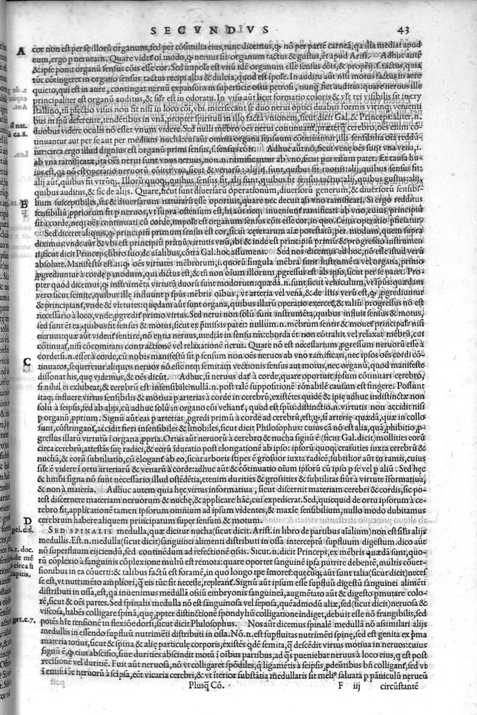An illustration from Plus quam commentum in Parvam Galeni artem Turisani Florentini medici praestantissimi, cum duplici textus interpretatione, antiqua scilicet et Leoniceni, et ejusdem [Turisani] libello de Hypostasi, opus... quod olim quidem Jul. Martianus Rota,... pluribus auxit et emendavit ; nunc vero... recognitum... additis quibusdam ad eandem rem pertinentibus, denuo imprimendum curavimus. Ea autem sunt : Hali qui eandem Galeni Artem primus exposuit ; Joannitii ad eandem introductio ; Gentilis qui primum ejusdem Artis librum... declaravit ; Nicolai Leoniceni Quaestio de tribus doctrinis..., 1557, leaf 100