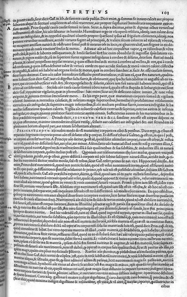 An illustration from Plus quam commentum in Parvam Galeni artem Turisani Florentini medici praestantissimi, cum duplici textus interpretatione, antiqua scilicet et Leoniceni, et ejusdem [Turisani] libello de Hypostasi, opus... quod olim quidem Jul. Martianus Rota,... pluribus auxit et emendavit ; nunc vero... recognitum... additis quibusdam ad eandem rem pertinentibus, denuo imprimendum curavimus. Ea autem sunt : Hali qui eandem Galeni Artem primus exposuit ; Joannitii ad eandem introductio ; Gentilis qui primum ejusdem Artis librum... declaravit ; Nicolai Leoniceni Quaestio de tribus doctrinis..., 1557, leaf 220
