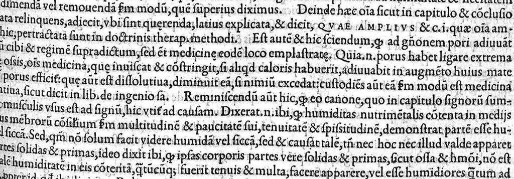 An illustration from Plus quam commentum in Parvam Galeni artem Turisani Florentini medici praestantissimi, cum duplici textus interpretatione, antiqua scilicet et Leoniceni, et ejusdem [Turisani] libello de Hypostasi, opus... quod olim quidem Jul. Martianus Rota,... pluribus auxit et emendavit ; nunc vero... recognitum... additis quibusdam ad eandem rem pertinentibus, denuo imprimendum curavimus. Ea autem sunt : Hali qui eandem Galeni Artem primus exposuit ; Joannitii ad eandem introductio ; Gentilis qui primum ejusdem Artis librum... declaravit ; Nicolai Leoniceni Quaestio de tribus doctrinis..., 1557, leaf 298