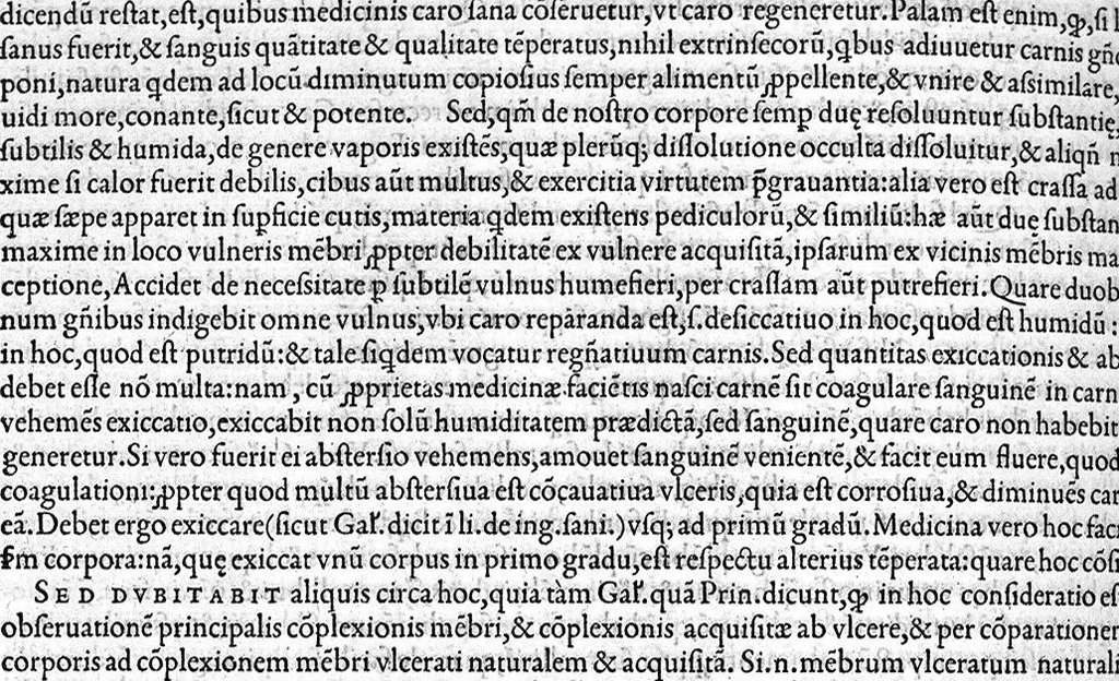 An illustration from Plus quam commentum in Parvam Galeni artem Turisani Florentini medici praestantissimi, cum duplici textus interpretatione, antiqua scilicet et Leoniceni, et ejusdem [Turisani] libello de Hypostasi, opus... quod olim quidem Jul. Martianus Rota,... pluribus auxit et emendavit ; nunc vero... recognitum... additis quibusdam ad eandem rem pertinentibus, denuo imprimendum curavimus. Ea autem sunt : Hali qui eandem Galeni Artem primus exposuit ; Joannitii ad eandem introductio ; Gentilis qui primum ejusdem Artis librum... declaravit ; Nicolai Leoniceni Quaestio de tribus doctrinis..., 1557, leaf 307