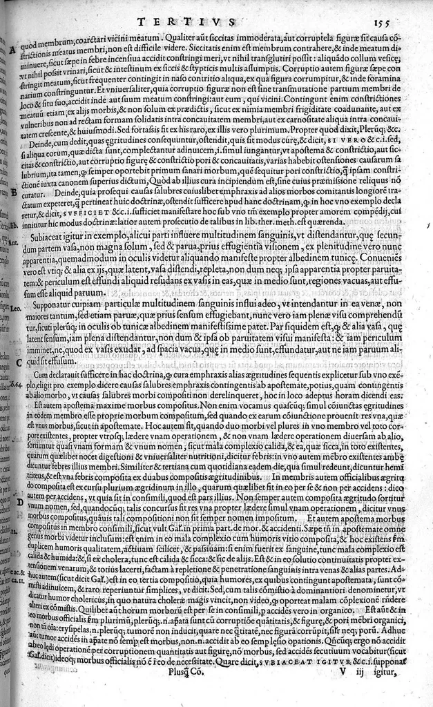 An illustration from Plus quam commentum in Parvam Galeni artem Turisani Florentini medici praestantissimi, cum duplici textus interpretatione, antiqua scilicet et Leoniceni, et ejusdem [Turisani] libello de Hypostasi, opus... quod olim quidem Jul. Martianus Rota,... pluribus auxit et emendavit ; nunc vero... recognitum... additis quibusdam ad eandem rem pertinentibus, denuo imprimendum curavimus. Ea autem sunt : Hali qui eandem Galeni Artem primus exposuit ; Joannitii ad eandem introductio ; Gentilis qui primum ejusdem Artis librum... declaravit ; Nicolai Leoniceni Quaestio de tribus doctrinis..., 1557, leaf 324