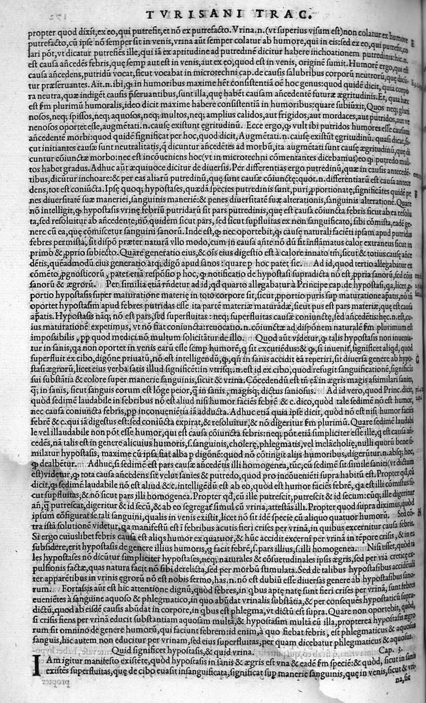 An illustration from Plus quam commentum in Parvam Galeni artem Turisani Florentini medici praestantissimi, cum duplici textus interpretatione, antiqua scilicet et Leoniceni, et ejusdem [Turisani] libello de Hypostasi, opus... quod olim quidem Jul. Martianus Rota,... pluribus auxit et emendavit ; nunc vero... recognitum... additis quibusdam ad eandem rem pertinentibus, denuo imprimendum curavimus. Ea autem sunt : Hali qui eandem Galeni Artem primus exposuit ; Joannitii ad eandem introductio ; Gentilis qui primum ejusdem Artis librum... declaravit ; Nicolai Leoniceni Quaestio de tribus doctrinis..., 1557, leaf 359