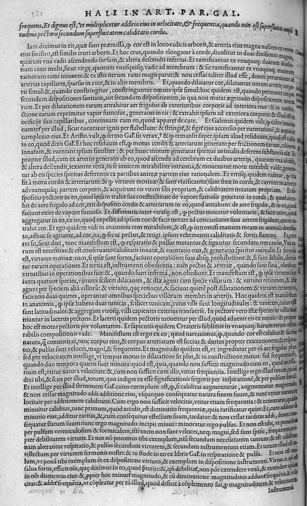 An illustration from Plus quam commentum in Parvam Galeni artem Turisani Florentini medici praestantissimi, cum duplici textus interpretatione, antiqua scilicet et Leoniceni, et ejusdem [Turisani] libello de Hypostasi, opus... quod olim quidem Jul. Martianus Rota,... pluribus auxit et emendavit ; nunc vero... recognitum... additis quibusdam ad eandem rem pertinentibus, denuo imprimendum curavimus. Ea autem sunt : Hali qui eandem Galeni Artem primus exposuit ; Joannitii ad eandem introductio ; Gentilis qui primum ejusdem Artis librum... declaravit ; Nicolai Leoniceni Quaestio de tribus doctrinis..., 1557, leaf 385