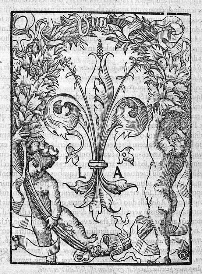 An illustration from Plus quam commentum in Parvam Galeni artem Turisani Florentini medici praestantissimi, cum duplici textus interpretatione, antiqua scilicet et Leoniceni, et ejusdem [Turisani] libello de Hypostasi, opus... quod olim quidem Jul. Martianus Rota,... pluribus auxit et emendavit ; nunc vero... recognitum... additis quibusdam ad eandem rem pertinentibus, denuo imprimendum curavimus. Ea autem sunt : Hali qui eandem Galeni Artem primus exposuit ; Joannitii ad eandem introductio ; Gentilis qui primum ejusdem Artis librum... declaravit ; Nicolai Leoniceni Quaestio de tribus doctrinis..., 1557, leaf 521