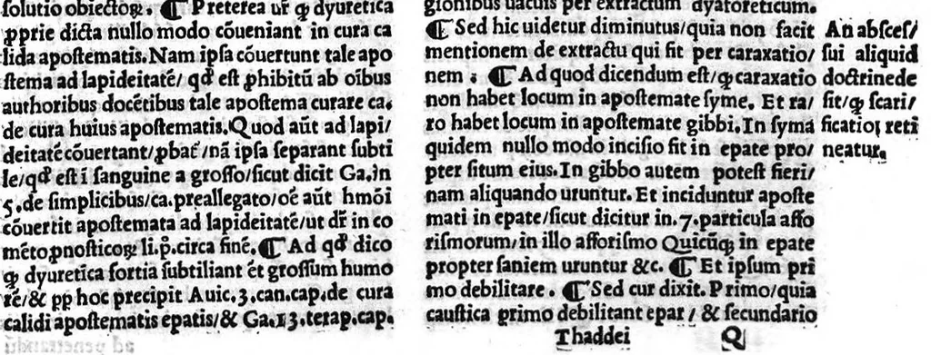 An illustration from Thaddei Florentini,... In C. Gal. Micratechnen commentarii secunde editionis emaculati et ab oblivionis injuria nuperrime vindicati, studio Thome Dionysii Polii,... quin etiam Gal. textus suo loco adjecti..., 1522, leaf 500