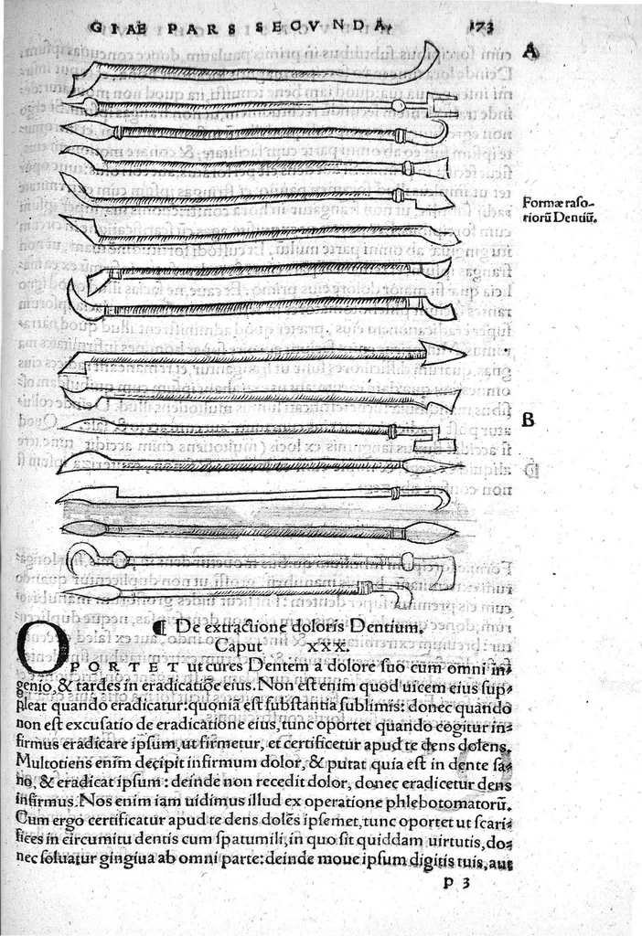 An illustration from Octavii Horatiani Rerum medicarum libri quatuor. I Logicus, de curationibus omnium ferme morborum corporis humani... II. De acutis et chronicis passionibus... III. Gynecia, de mulierum accidentibus et curis eorumdem... IV. De physica scientia, experimentorum liber. Per Heremanum comitem a Neuenar, integro candori nuper restitutus autor. Albucasis,... Libri tres I. De cauterio cum igne et medicinis acutis per singula corporis humani membro... II. De sectione et perforatione phlebotomia, et ventosis ; de vulneribus et extractione sagittarum... III. De restauratione et curatione dislocationis membrorum..., 1532, leaf 180