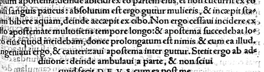An illustration from Octavii Horatiani Rerum medicarum libri quatuor. I Logicus, de curationibus omnium ferme morborum corporis humani... II. De acutis et chronicis passionibus... III. Gynecia, de mulierum accidentibus et curis eorumdem... IV. De physica scientia, experimentorum liber. Per Heremanum comitem a Neuenar, integro candori nuper restitutus autor. Albucasis,... Libri tres I. De cauterio cum igne et medicinis acutis per singula corporis humani membro... II. De sectione et perforatione phlebotomia, et ventosis ; de vulneribus et extractione sagittarum... III. De restauratione et curatione dislocationis membrorum..., 1532, leaf 186