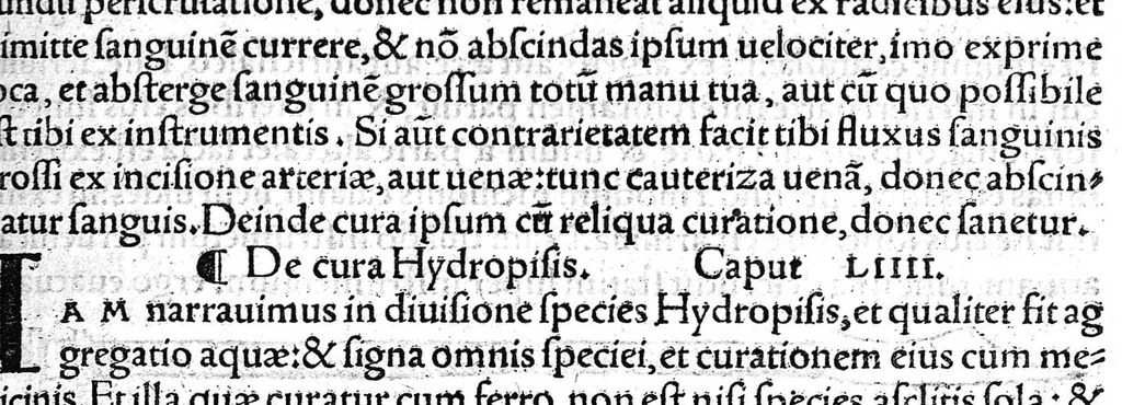 An illustration from Octavii Horatiani Rerum medicarum libri quatuor. I Logicus, de curationibus omnium ferme morborum corporis humani... II. De acutis et chronicis passionibus... III. Gynecia, de mulierum accidentibus et curis eorumdem... IV. De physica scientia, experimentorum liber. Per Heremanum comitem a Neuenar, integro candori nuper restitutus autor. Albucasis,... Libri tres I. De cauterio cum igne et medicinis acutis per singula corporis humani membro... II. De sectione et perforatione phlebotomia, et ventosis ; de vulneribus et extractione sagittarum... III. De restauratione et curatione dislocationis membrorum..., 1532, leaf 204