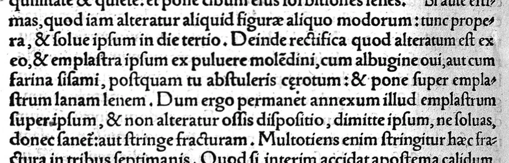 An illustration from Octavii Horatiani Rerum medicarum libri quatuor. I Logicus, de curationibus omnium ferme morborum corporis humani... II. De acutis et chronicis passionibus... III. Gynecia, de mulierum accidentibus et curis eorumdem... IV. De physica scientia, experimentorum liber. Per Heremanum comitem a Neuenar, integro candori nuper restitutus autor. Albucasis,... Libri tres I. De cauterio cum igne et medicinis acutis per singula corporis humani membro... II. De sectione et perforatione phlebotomia, et ventosis ; de vulneribus et extractione sagittarum... III. De restauratione et curatione dislocationis membrorum..., 1532, leaf 297