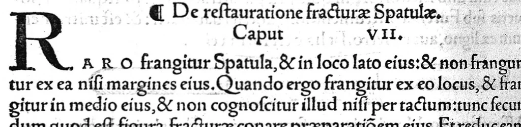 An illustration from Octavii Horatiani Rerum medicarum libri quatuor. I Logicus, de curationibus omnium ferme morborum corporis humani... II. De acutis et chronicis passionibus... III. Gynecia, de mulierum accidentibus et curis eorumdem... IV. De physica scientia, experimentorum liber. Per Heremanum comitem a Neuenar, integro candori nuper restitutus autor. Albucasis,... Libri tres I. De cauterio cum igne et medicinis acutis per singula corporis humani membro... II. De sectione et perforatione phlebotomia, et ventosis ; de vulneribus et extractione sagittarum... III. De restauratione et curatione dislocationis membrorum..., 1532, leaf 299