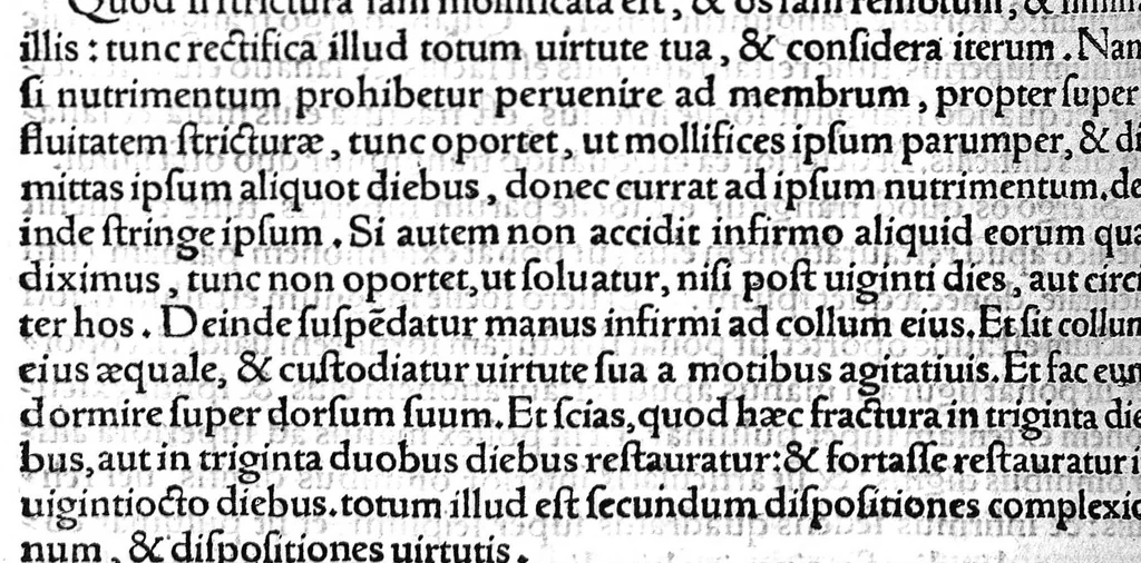 An illustration from Octavii Horatiani Rerum medicarum libri quatuor. I Logicus, de curationibus omnium ferme morborum corporis humani... II. De acutis et chronicis passionibus... III. Gynecia, de mulierum accidentibus et curis eorumdem... IV. De physica scientia, experimentorum liber. Per Heremanum comitem a Neuenar, integro candori nuper restitutus autor. Albucasis,... Libri tres I. De cauterio cum igne et medicinis acutis per singula corporis humani membro... II. De sectione et perforatione phlebotomia, et ventosis ; de vulneribus et extractione sagittarum... III. De restauratione et curatione dislocationis membrorum..., 1532, leaf 305