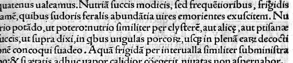 An illustration from Octavii Horatiani Rerum medicarum libri quatuor. I Logicus, de curationibus omnium ferme morborum corporis humani... II. De acutis et chronicis passionibus... III. Gynecia, de mulierum accidentibus et curis eorumdem... IV. De physica scientia, experimentorum liber. Per Heremanum comitem a Neuenar, integro candori nuper restitutus autor. Albucasis,... Libri tres I. De cauterio cum igne et medicinis acutis per singula corporis humani membro... II. De sectione et perforatione phlebotomia, et ventosis ; de vulneribus et extractione sagittarum... III. De restauratione et curatione dislocationis membrorum..., 1532, leaf 50