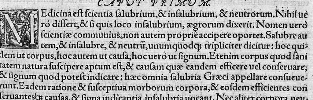 An illustration from In "Artem medicinalem" Galeni, tabulae et commentarii: per Theodorum Zvinggerum,... Ex quibus medici, longae artis, compendium: Philosophi, cognitionem naturae in corpore humano, tanquam in microcosmo: Logici denique, artificiosam ordinis definitivi dialysin, magna cum utilitate & facilitate haurire poterunt. Accessit rerum et verborum... memorabilium index, 1561, leaf 16