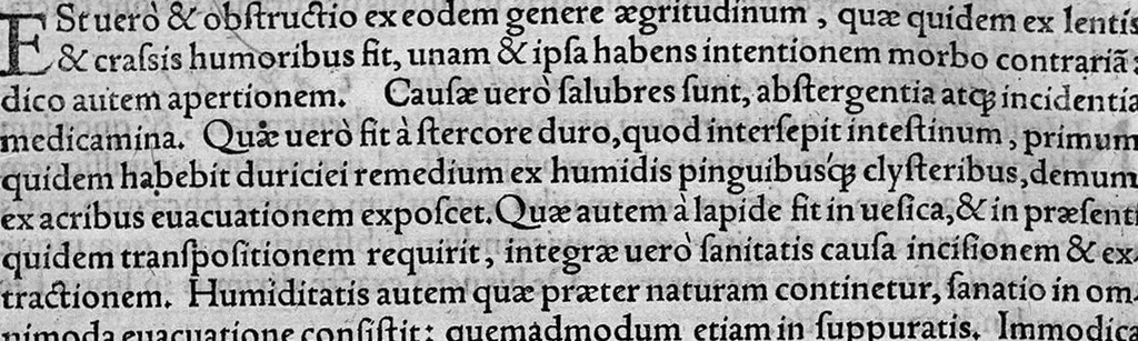 An illustration from In "Artem medicinalem" Galeni, tabulae et commentarii: per Theodorum Zvinggerum,... Ex quibus medici, longae artis, compendium: Philosophi, cognitionem naturae in corpore humano, tanquam in microcosmo: Logici denique, artificiosam ordinis definitivi dialysin, magna cum utilitate & facilitate haurire poterunt. Accessit rerum et verborum... memorabilium index, 1561, leaf 41