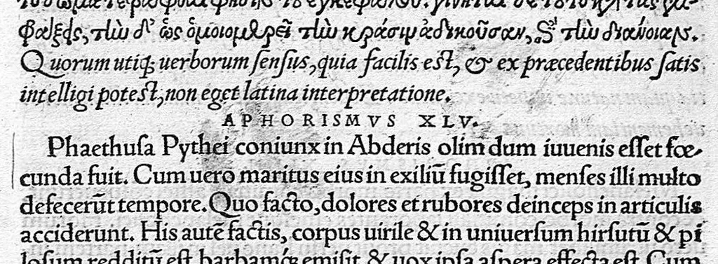An illustration from Hippocratis medicorum omnium principis epidemian liber sextus, a Leonardo Fuchsio medico latinitate donatus..., 1537, leaf 385