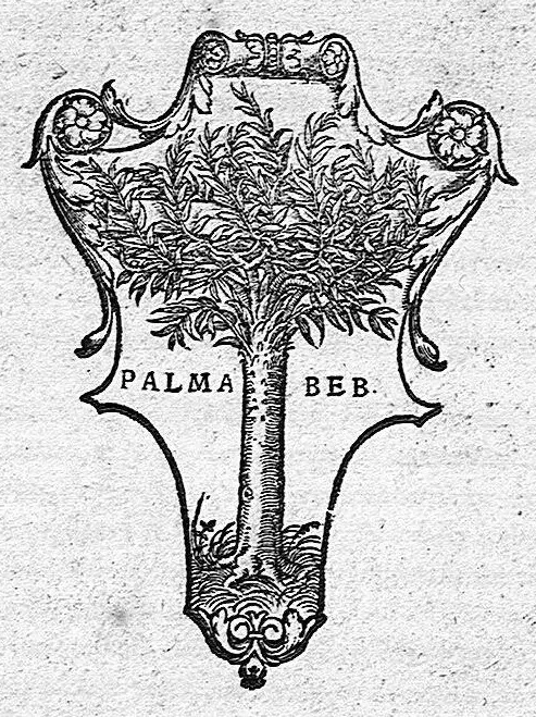 An illustration from Hippocratis medicorum omnium principis epidemian liber sextus, a Leonardo Fuchsio medico latinitate donatus..., 1537, leaf 399