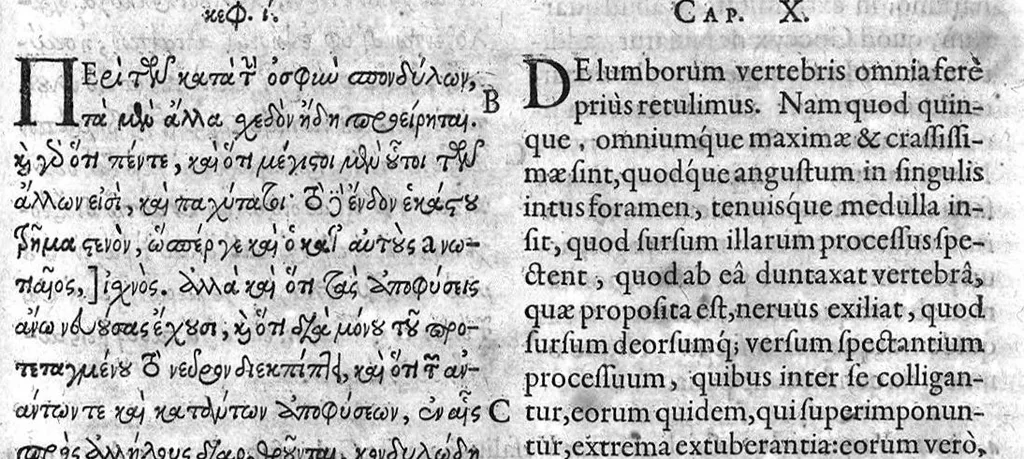 An illustration from Claudii Galeni,... de Ossibus ad tyrones liber, Ferdinando Balamio interprete, cum notis perpetuis Casp. Hofmanni,..., 1630, leaf 22
