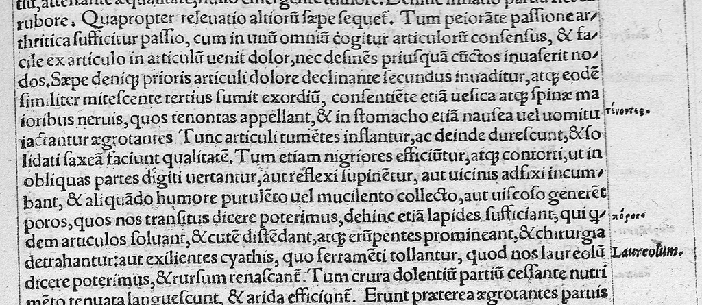 An illustration from Caelii Aureliani siccensis tardarum passionum libri V / Oribasii euporiston libri III, medicinae compendium liber I, curationum liber I, trochiscorum confect liber I, 1529, leaf 146