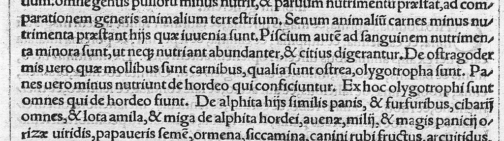 An illustration from Caelii Aureliani siccensis tardarum passionum libri V / Oribasii euporiston libri III, medicinae compendium liber I, curationum liber I, trochiscorum confect liber I, 1529, leaf 191