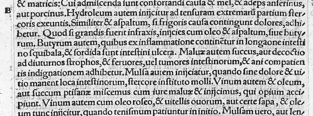 An illustration from Caelii Aureliani siccensis tardarum passionum libri V / Oribasii euporiston libri III, medicinae compendium liber I, curationum liber I, trochiscorum confect liber I, 1529, leaf 214