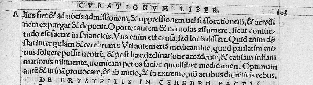 An illustration from Caelii Aureliani siccensis tardarum passionum libri V / Oribasii euporiston libri III, medicinae compendium liber I, curationum liber I, trochiscorum confect liber I, 1529, leaf 224