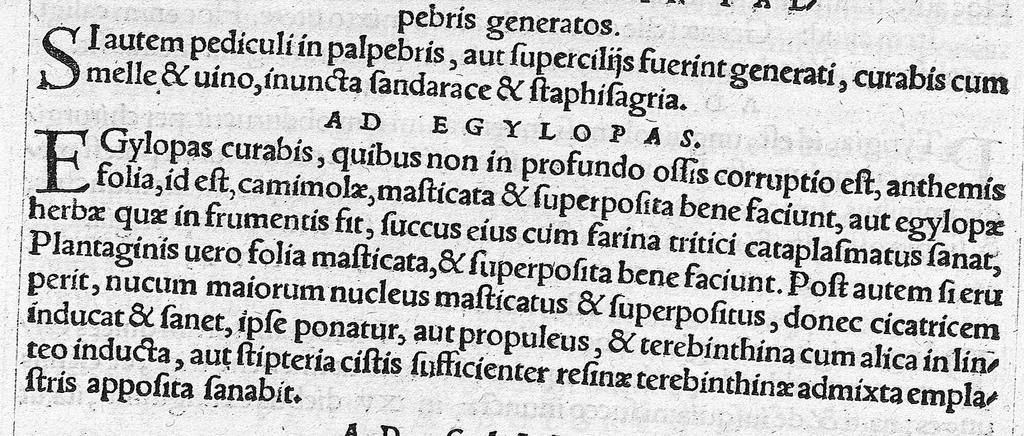 An illustration from Caelii Aureliani siccensis tardarum passionum libri V / Oribasii euporiston libri III, medicinae compendium liber I, curationum liber I, trochiscorum confect liber I, 1529, leaf 231