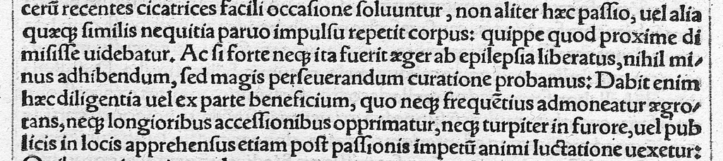 An illustration from Caelii Aureliani siccensis tardarum passionum libri V / Oribasii euporiston libri III, medicinae compendium liber I, curationum liber I, trochiscorum confect liber I, 1529, leaf 39