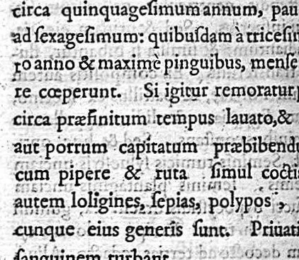 An illustration from Aretaei Cappadocis Aetiologica, simeiotica et therapeutica morborum auctorum et diuturnorum, 1603, leaf 295