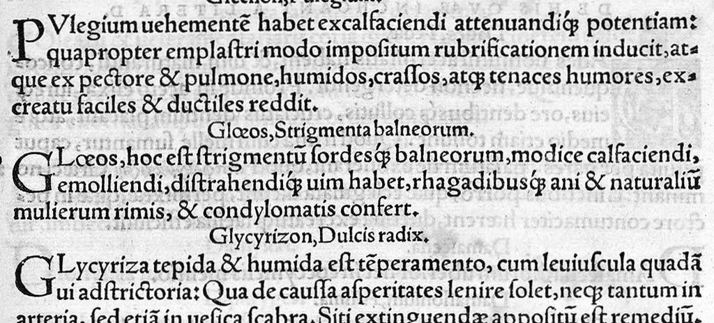 An illustration from Pauli Aeginetae Medici insignis Opus divinum, quo vir ille vastissimum totius artis oceanum,Laconica brevitate, sensibus argutis, merisque aphorismis in epitomen redegit., 1532, leaf 377