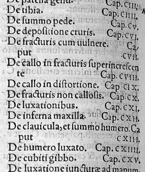 An illustration from Pauli Aeginetae totius rei medicae libri VII. ad profectionem parati, et brevi summa omnem artem complectens. Per Janum Cornarium medicum Physicum Latina lingua conscripti, 1556, leaf 237