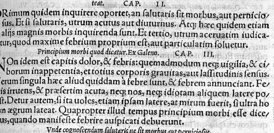 An illustration from Pauli Aeginetae totius rei medicae libri VII. ad profectionem parati, et brevi summa omnem artem complectens. Per Janum Cornarium medicum Physicum Latina lingua conscripti, 1556, leaf 64
