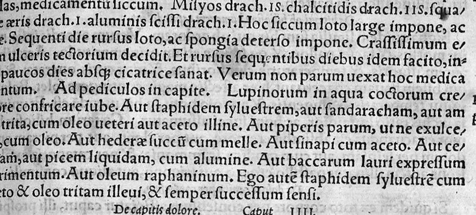 An illustration from Pauli Aeginetae totius rei medicae libri VII. ad profectionem parati, et brevi summa omnem artem complectens. Per Janum Cornarium medicum Physicum Latina lingua conscripti, 1556, leaf 96