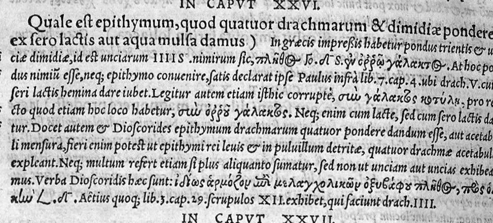 An illustration from Iani Cornarii medici physici Dolabellarum in Paulum Aeginetam Libri septem, 1556, leaf 41