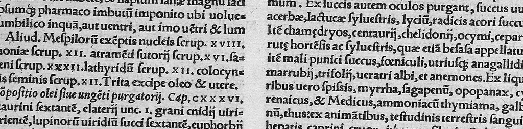 An illustration from Aetii medici graeci contractae ex veteribus medicinae tetrabiblios hoc est, quaternio, sive libri universales quatuor, ... per Janum Cornarium medicum physicum Latine conscripti, 1549, leaf 116
