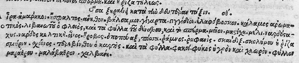 An illustration from Aeti Amideni librorum medicinalium tomus primus, primi scilicet libri octo nunc primum in lucem editi, 1534, leaf 89