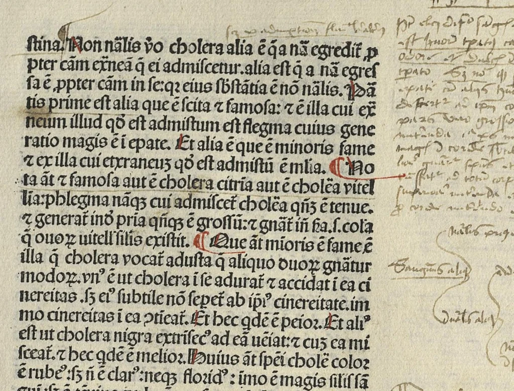 An illustration from Liber canonis primus [-quintus] quem princeps aboali abincenni de medicine edidit : translatum a magistro Gerardo cremonensi in Toledo ab arabico in latinum, leaf 14