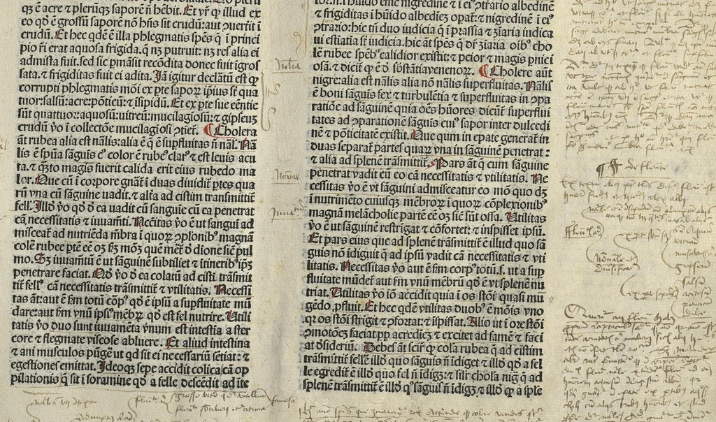 An illustration from Liber canonis primus [-quintus] quem princeps aboali abincenni de medicine edidit : translatum a magistro Gerardo cremonensi in Toledo ab arabico in latinum, leaf 14