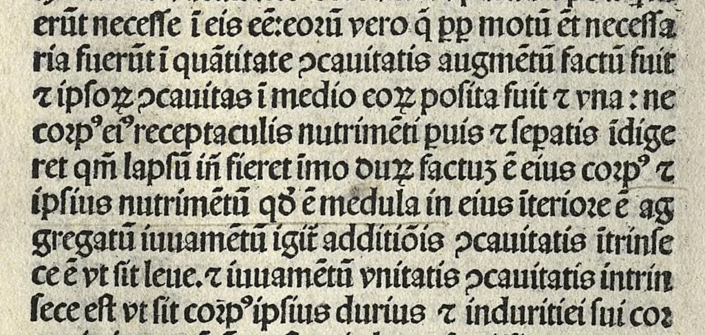 An illustration from Liber canonis primus [-quintus] quem princeps aboali abincenni de medicine edidit : translatum a magistro Gerardo cremonensi in Toledo ab arabico in latinum, leaf 19