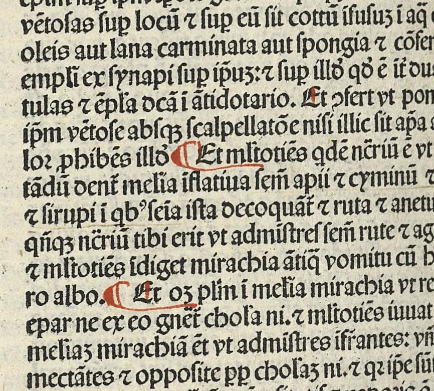 An illustration from Liber canonis primus [-quintus] quem princeps aboali abincenni de medicine edidit : translatum a magistro Gerardo cremonensi in Toledo ab arabico in latinum, leaf 305