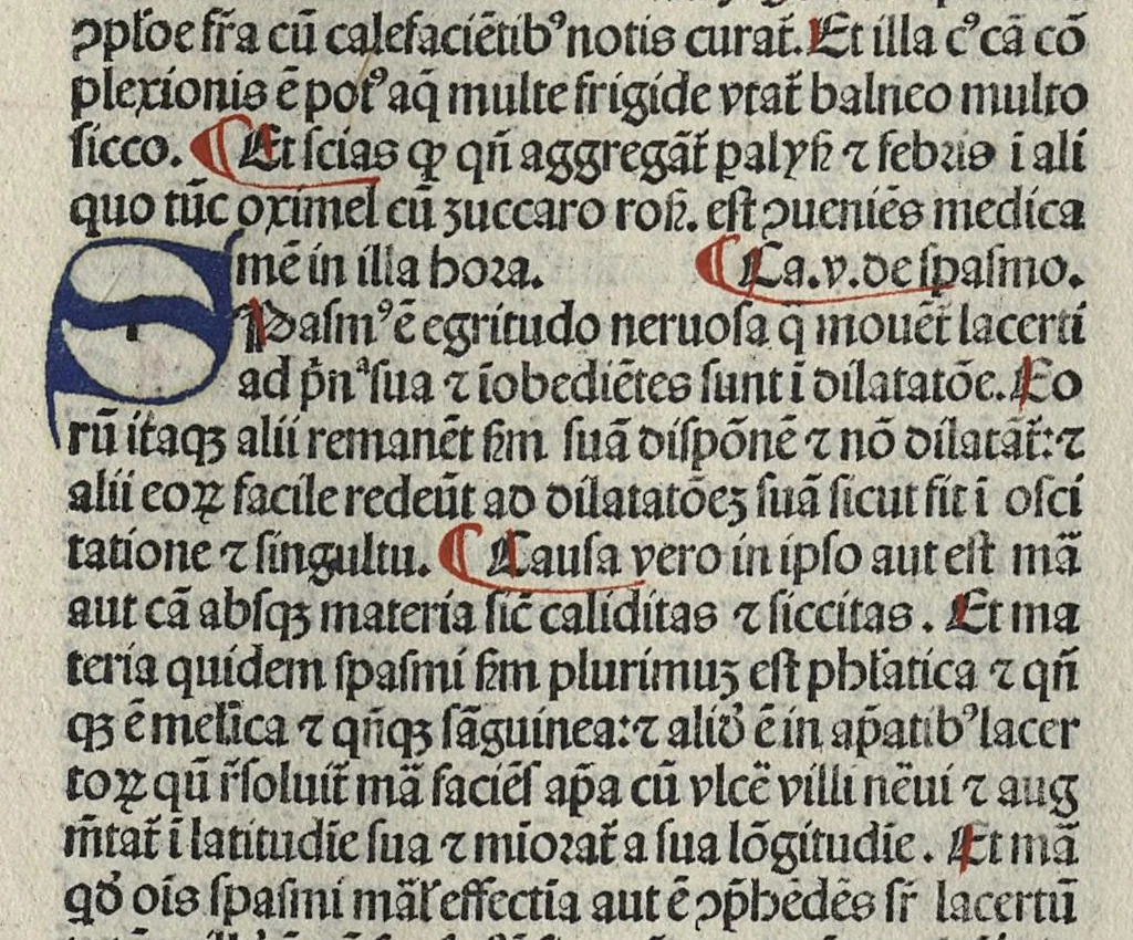 An illustration from Liber canonis primus [-quintus] quem princeps aboali abincenni de medicine edidit : translatum a magistro Gerardo cremonensi in Toledo ab arabico in latinum, leaf 318