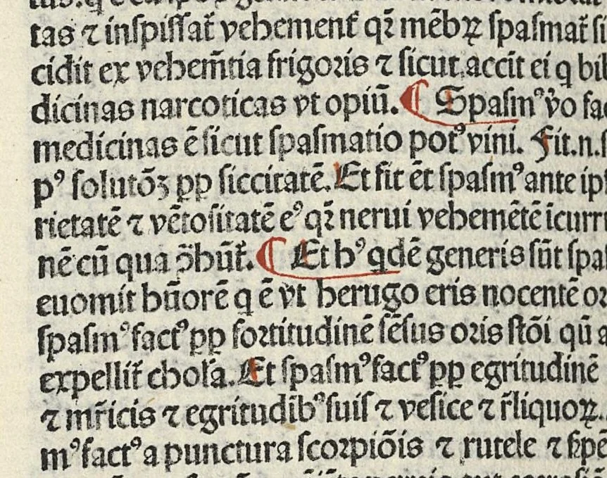 An illustration from Liber canonis primus [-quintus] quem princeps aboali abincenni de medicine edidit : translatum a magistro Gerardo cremonensi in Toledo ab arabico in latinum, leaf 319