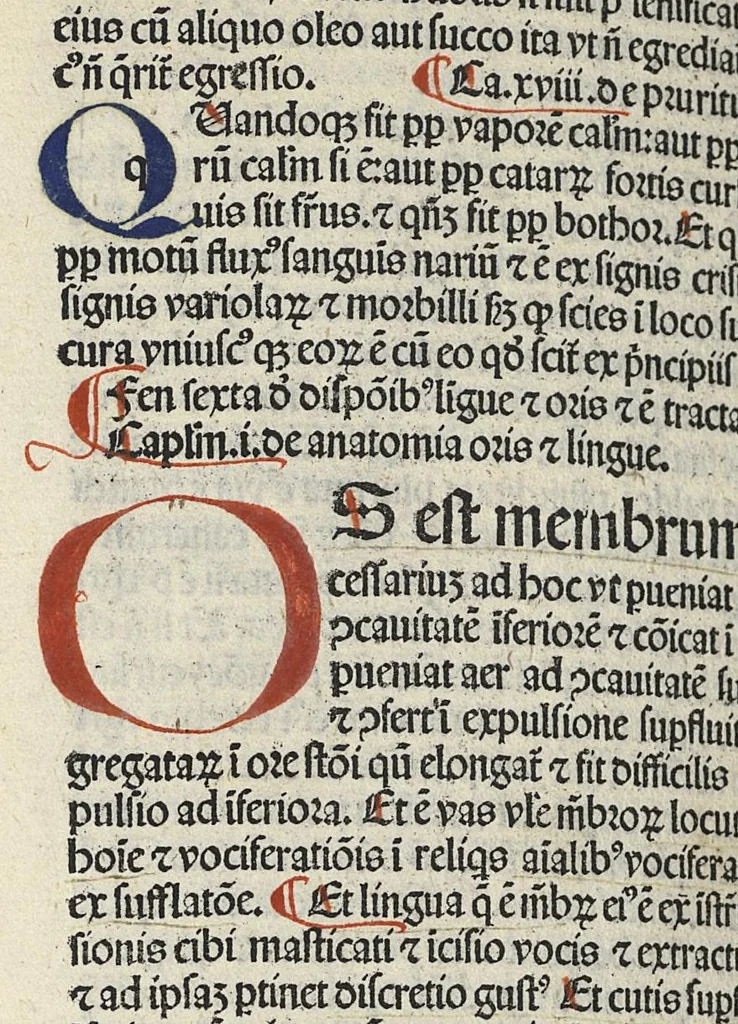 An illustration from Liber canonis primus [-quintus] quem princeps aboali abincenni de medicine edidit : translatum a magistro Gerardo cremonensi in Toledo ab arabico in latinum, leaf 359