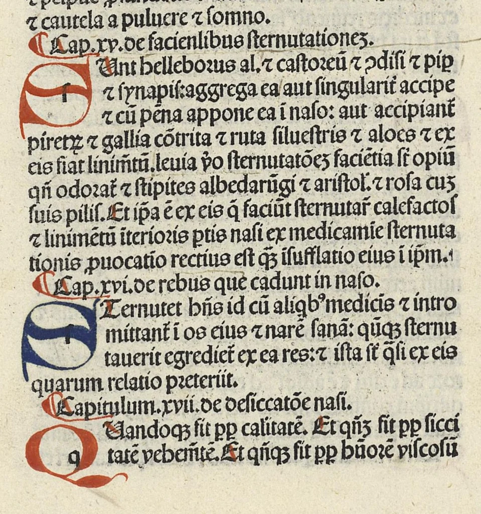 An illustration from Liber canonis primus [-quintus] quem princeps aboali abincenni de medicine edidit : translatum a magistro Gerardo cremonensi in Toledo ab arabico in latinum, leaf 359