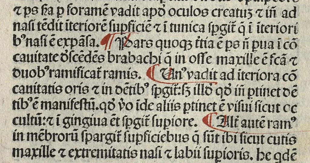 An illustration from Liber canonis primus [-quintus] quem princeps aboali abincenni de medicine edidit : translatum a magistro Gerardo cremonensi in Toledo ab arabico in latinum, leaf 36