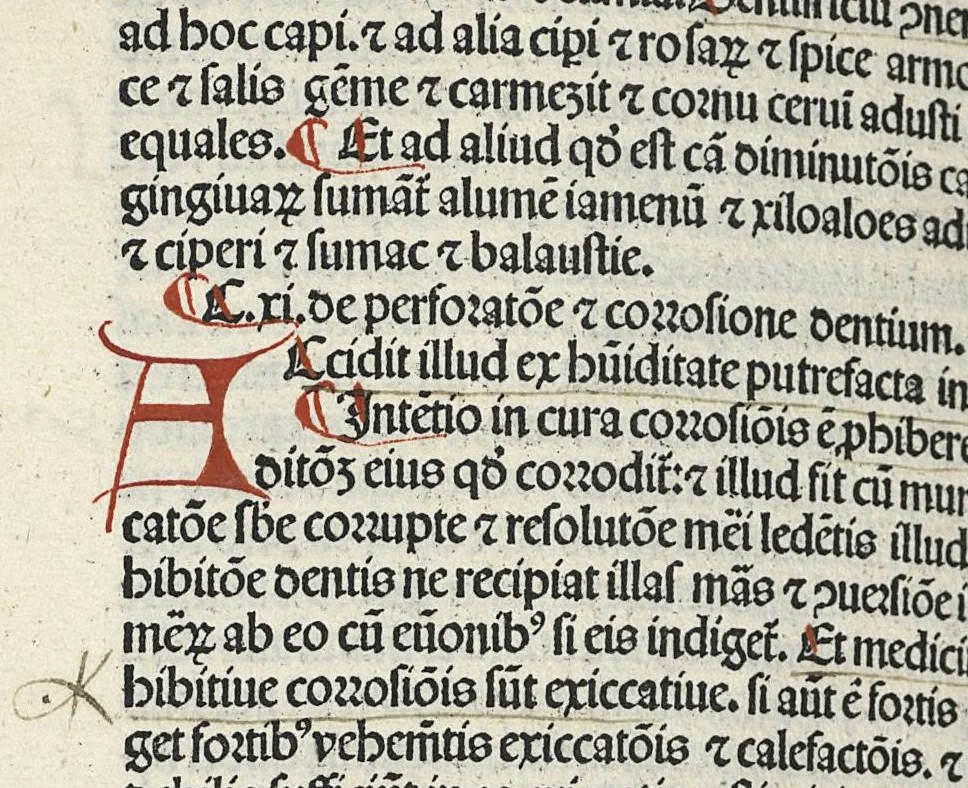 An illustration from Liber canonis primus [-quintus] quem princeps aboali abincenni de medicine edidit : translatum a magistro Gerardo cremonensi in Toledo ab arabico in latinum, leaf 367
