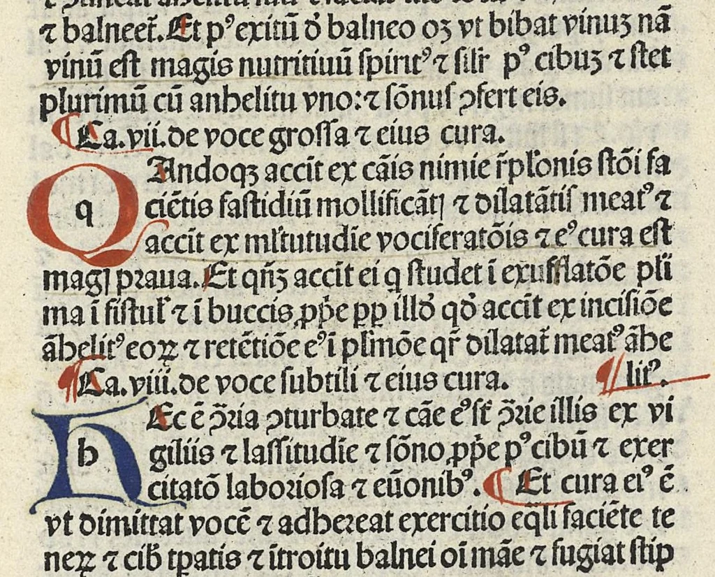 An illustration from Liber canonis primus [-quintus] quem princeps aboali abincenni de medicine edidit : translatum a magistro Gerardo cremonensi in Toledo ab arabico in latinum, leaf 387